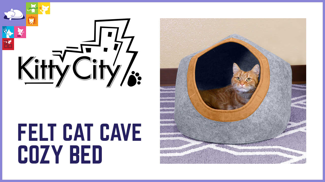 Cat Cave Cozy Bed Video