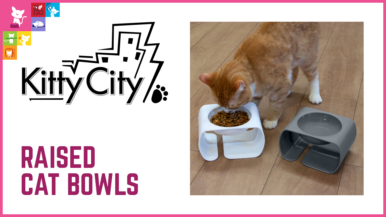Raised Cat Bowls Video